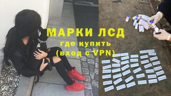 амф Карпинск