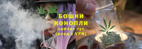 амф Карпинск