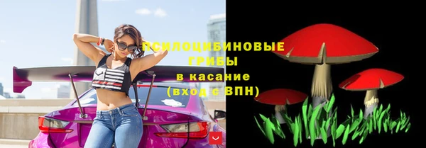 амф Карпинск