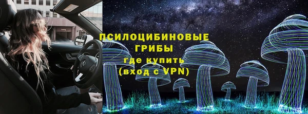 амф Карпинск