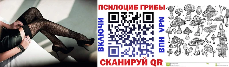 Купить где  Лакинск  Псилоцибиновые грибы ЛСД 