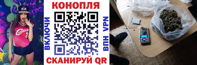 Конопля марихуана Лакинск